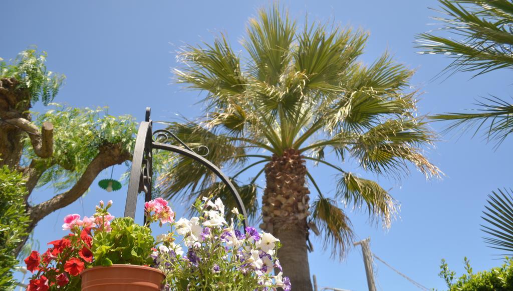 Ansise Guest House Lido di Noto 외부 사진